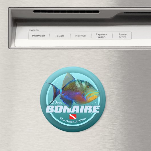 ボネール(DD2) マグネット (インサイチュ (食洗機))