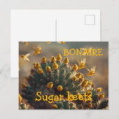 ボネールsugarkeets ポストカード (正面/裏面)