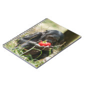 ボノボのピクニック ノートブック (左側)