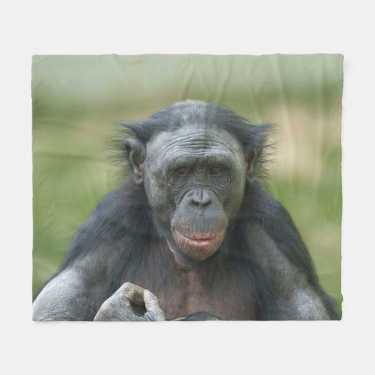 ボノボの熟考 フリースブランケット (正面(横))