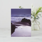 ボビーズベイカード (スタンド正面)