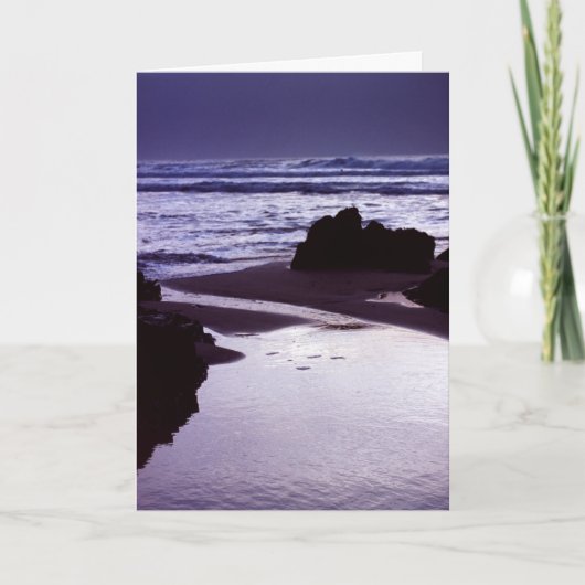 ボビーズベイ カード (正面)