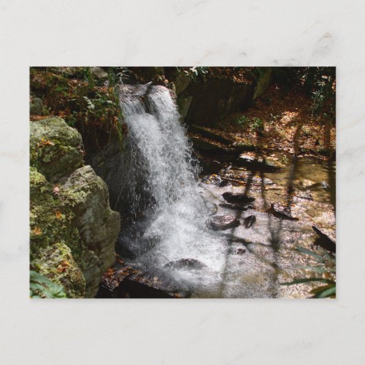 ボビー・マクリーン記念公園の滝 #2 ポストカード (正面)