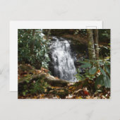 ボビー・マクリーン記念公園（ノースカロライナ州ニューランド）＃3 ポストカード (正面/裏面)