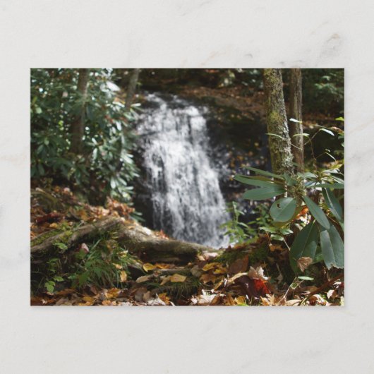 ボビー・マクリーン記念公園（ノースカロライナ州ニューランド）＃3 ポストカード (正面)