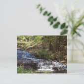 ボビー・マクリーン記念公園 #4 ニューランド, ノースカロライナ州 ポストカード (スタンド正面)