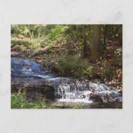 ボビー・マクリーン記念公園 #4 ニューランド, ノースカロライナ州 ポストカード