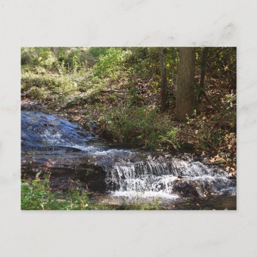 ボビー・マクリーン記念公園 #4 ニューランド, ノースカロライナ州 ポストカード (正面)