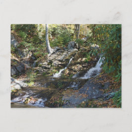 ボビー・マクリーン記念公園 #5, ニューランド, ノースカロライナ州 ポストカード