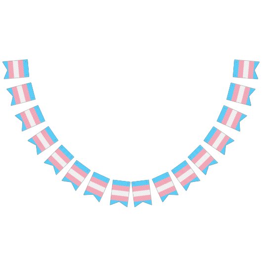 ボファンキーホストライプ抽象芸術トランスジェンダープライド国旗 バンティングフラッグ (全)