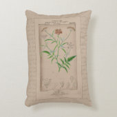 ボフランスのタニカルイラストレーションハルトウォルト アクセントクッション (正面(垂直))