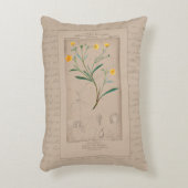 ボフランスのタニカルイラストレーションバターカップ アクセントクッション (正面(垂直))