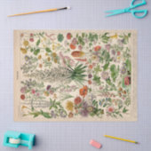 ボフランスのタニカルフルーアティッシュペーパー 薄葉紙 (クラフト)