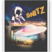 ボブのソーサー修理のシール・スニッツ シール (正面)