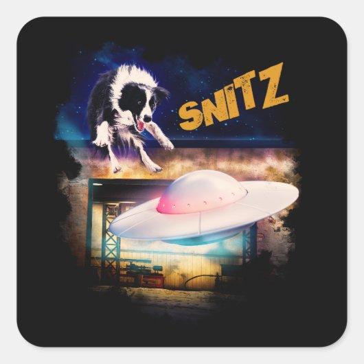 ボブのソーサー修理のシール・スニッツ スクエアシール (正面)