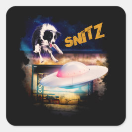 ボブのソーサー修理のシール・スニッツ スクエアシール