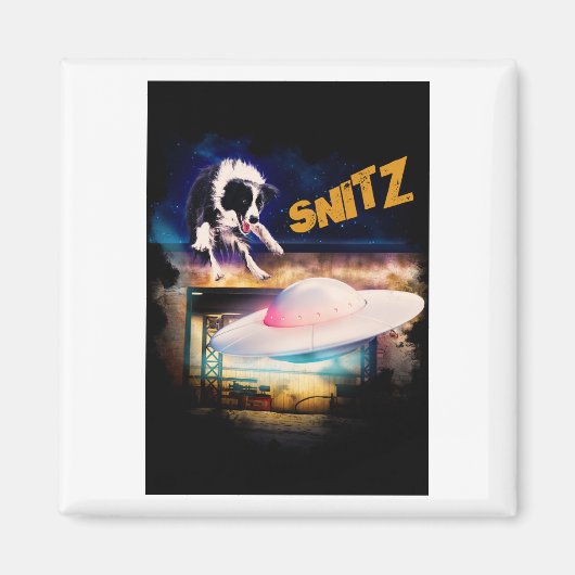 ボブのソーサー修理のSnitzと磁石 マグネット (正面)