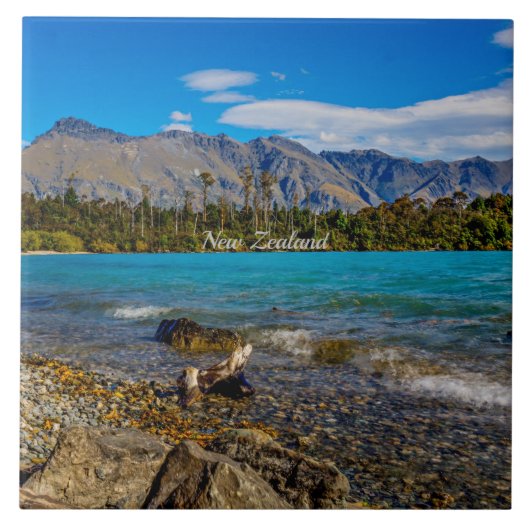 ボブの入り江、ニュージーランド タイル (正面)