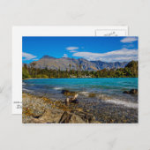 ボブの入り江、ニュージーランド ポストカード (正面/裏面)