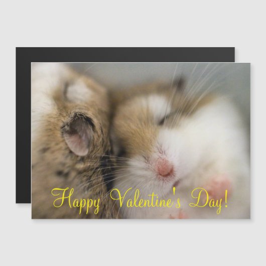 ボブを渡る (正面/裏面)