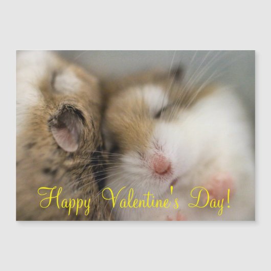 ボブを渡る (正面)