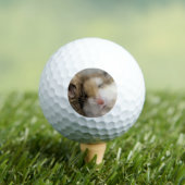 ボブを渡る ゴルフボール (インサイチュ 木)