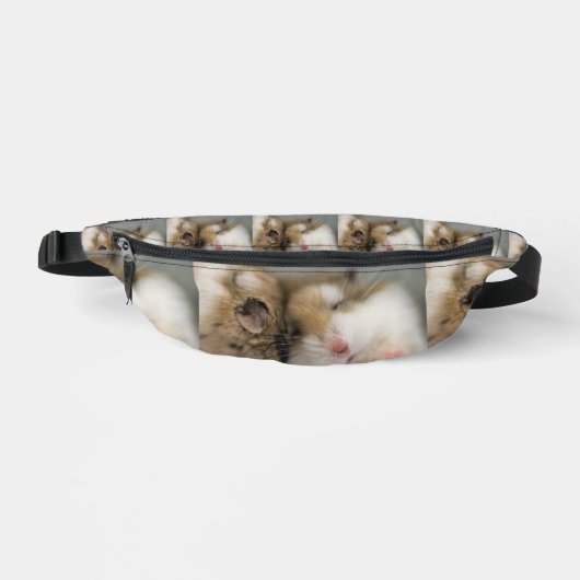 ボブを渡る ファニーパック (正面)