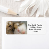 ボブを渡る ラベル (インサイチュ)