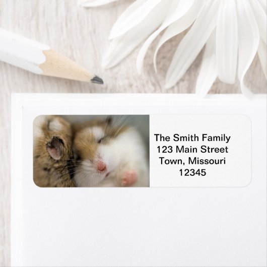 ボブを渡る ラベル (インサイチュ)