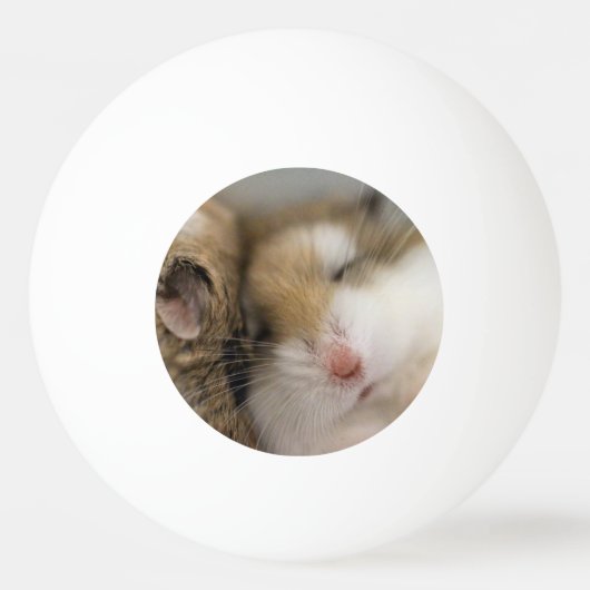 ボブを渡る 卓球ボール (正面)