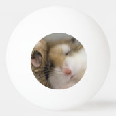 ボブを渡る 卓球ボール (裏面)