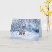 ボブキャットと雪の冬至 カード (黄色い花)
