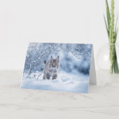ボブキャットと雪の冬至 カード (正面)