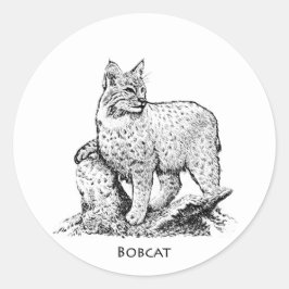 ボブキャットのイラストレーション ラウンドシール