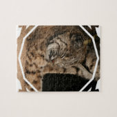 ボブキャットのパズルの写真 ジグソーパズル (横)