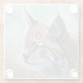 ボブキャットの屋外クッション ガラスコースター (裏面)