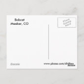 ボブキャットの顔 ポストカード (裏面)