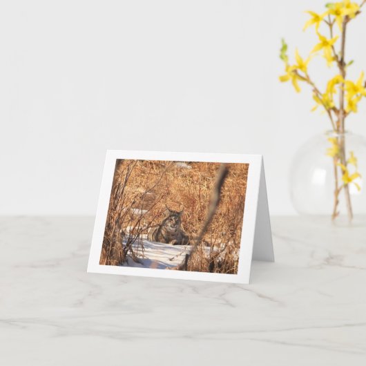 ボブキャットのnotecard カード (黄色い花)