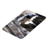 ボブキャットキットマグネット マグネット (左側)