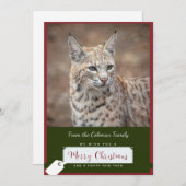 ボブキャットクリスマスカード シーズンカード (正面/裏面)