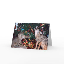 ボブキャットコヨーテ野生動物南西クリスマスカード