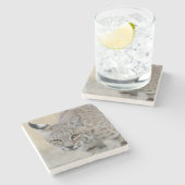 ボブキャットストーンコースター ストーンコースター (横)