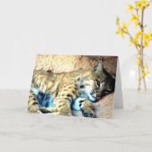 ボブキャットハビタットグリーティングカード カード (黄色い花)