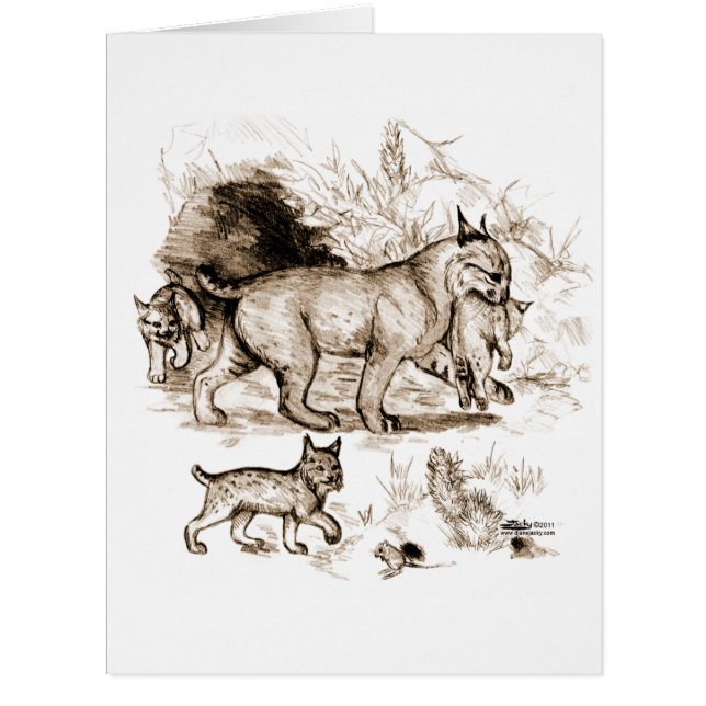 ボブキャットファミリー (正面)