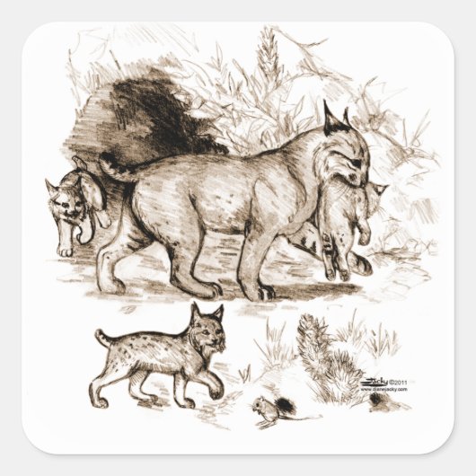 ボブキャットファミリー スクエアシール (正面)