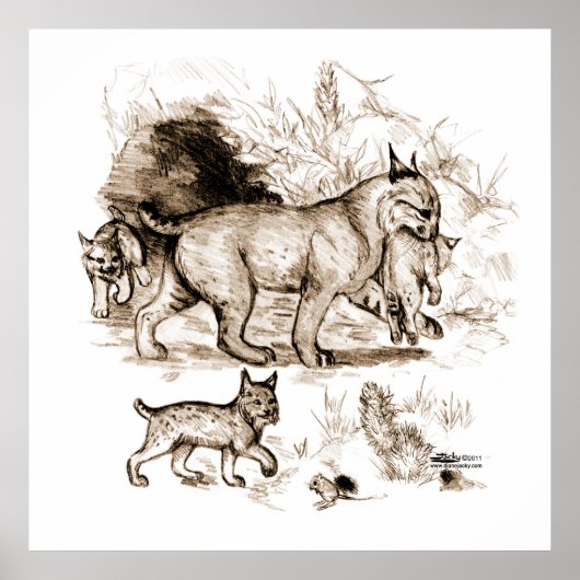 ボブキャットファミリー ポスター (正面)