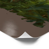 ボブキャットフォレスト野生生物 ポスター (コーナー)