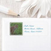 ボブキャットプロウリング ラベル (インサイチュ)