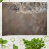 ボブキャットポートレート キッチンタオル (折り畳み)