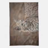 ボブキャットポートレート キッチンタオル (縦)